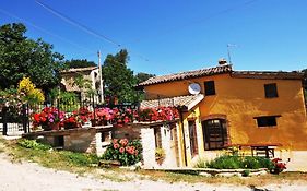 B&B Bosimano